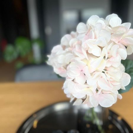 Tb Apartments Akureyri Dış mekan fotoğraf